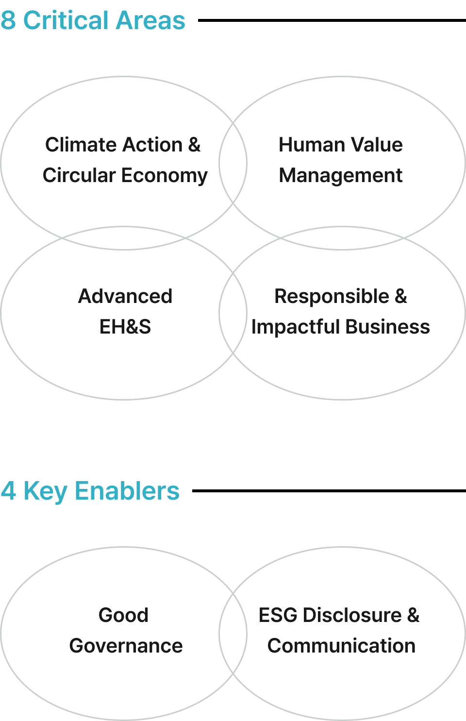 8 Critical Areas : Climate Action & Circular Economy / Human Value Management / Advanced EH&S / Responsible & Impactful Business 
                                                        4 Key Enablers : Good Governance / ESG Disclosure & Communication