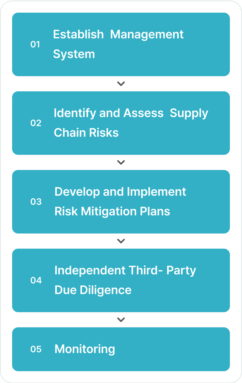 01 Establish Management System. 02 Identify and Assess Supply Chain Risks. 03 Develop and Implement Risk Mitigation Plans. 04 Independent Third-Party Due Diligence. 05 Monitoring.