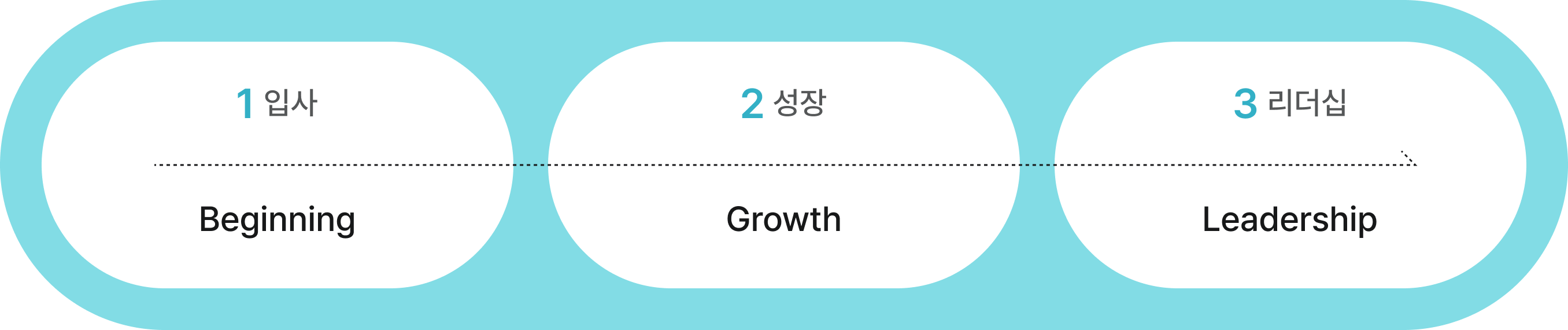 1. 입사 -> 2. 성장 -> 3. 리더십