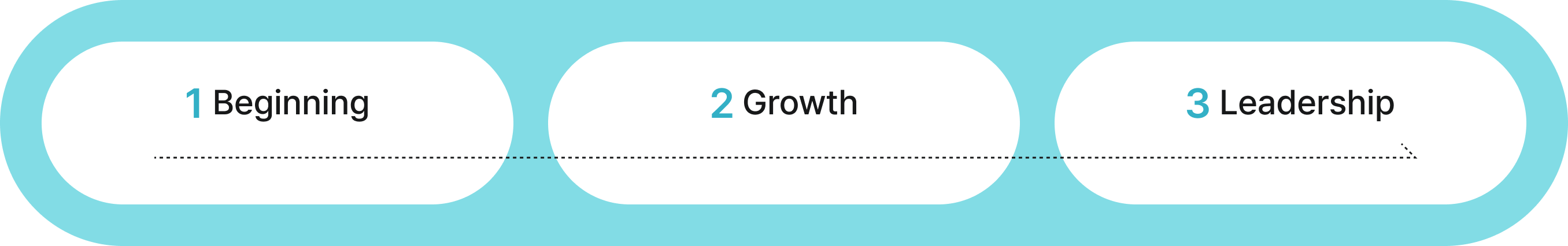 1. Beginning -> 2. Growth -> 3. Leadership