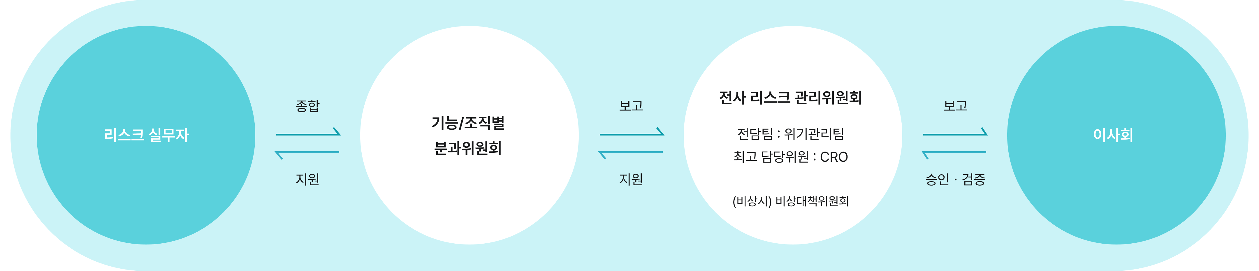 리스크 관리 체계 흐름도. 리스크 실무자가 기능·조직별 분과위원회에 종합 및 지원, 분과위원회는 전사 리스크 관리위원회에 보고 및 지원. 전사 리스크 관리위원회는 전달팀 위기관리팀, 최고 담당위원 CRO가 담당하며 비상시 비상대책위원회 운영. 이후 이사회에 보고하여 승인 및 검증 진행.