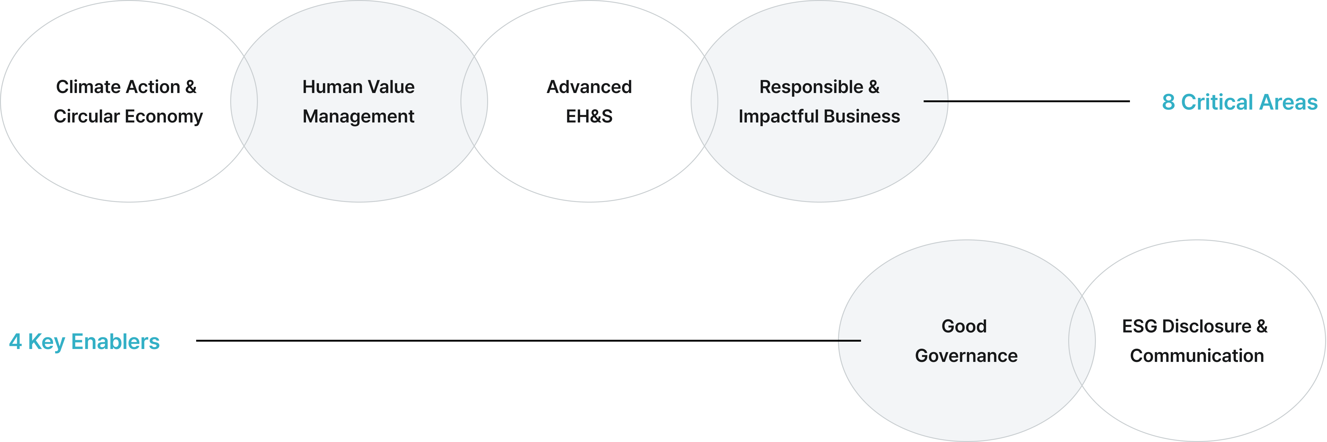 8 Critical Areas : Climate Action & Circular Economy / Human Value Management / Advanced EH&S / Responsible & Impactful Business 
                                                    4 Key Enablers : Good Governance / ESG Disclosure & Communication