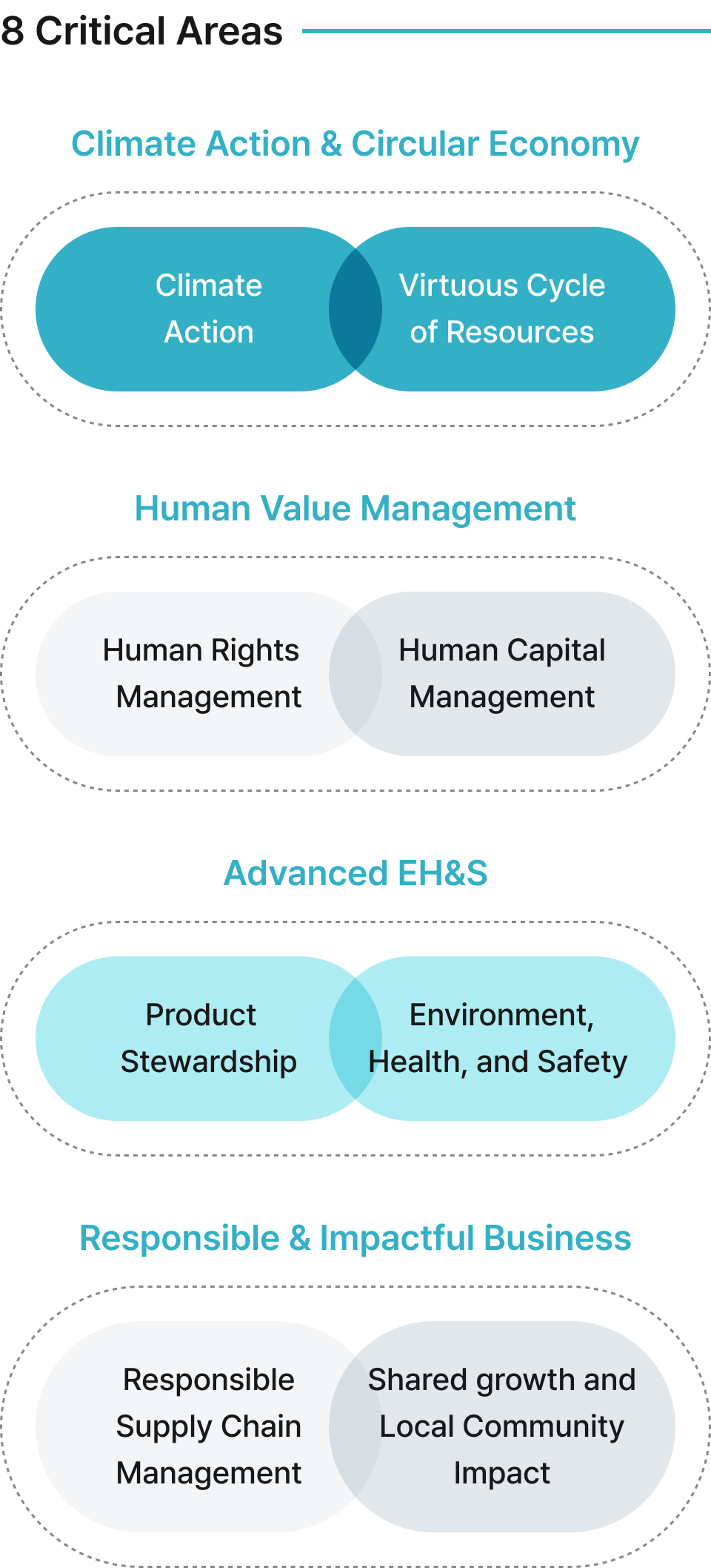 8 Critical Areas : Climate Action & Circular Economy / Human Value Management / Advanced EH&S / Responsible & Impactful Business