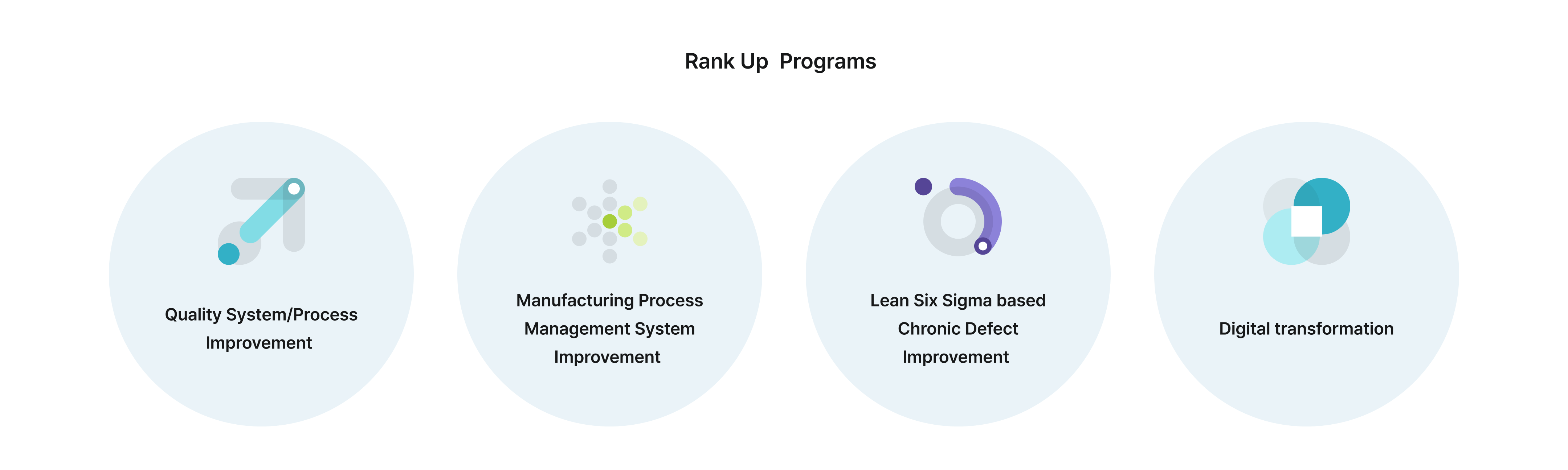 Rank Up Programs. Quality System/Process Improvement. Manufacturing Process Management System Improvement. Lean Six Sigma based Chronic Defect Improvement. Digital transformation.