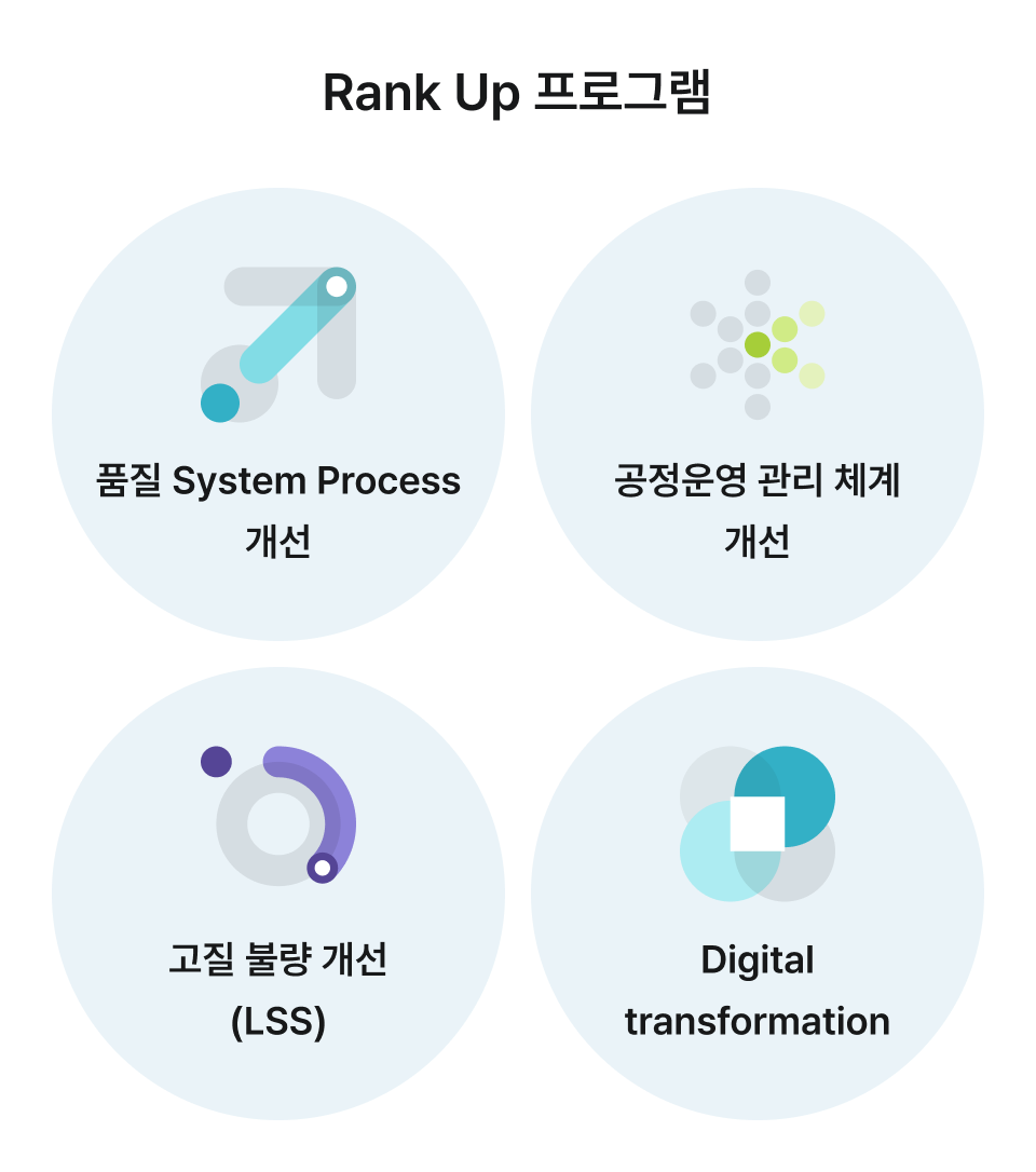Rank Up 프로그램 - 품질 System Process개선, 공정운영 관리 체계 개선, 고질 불량 개선 (LSS), Digital transformation