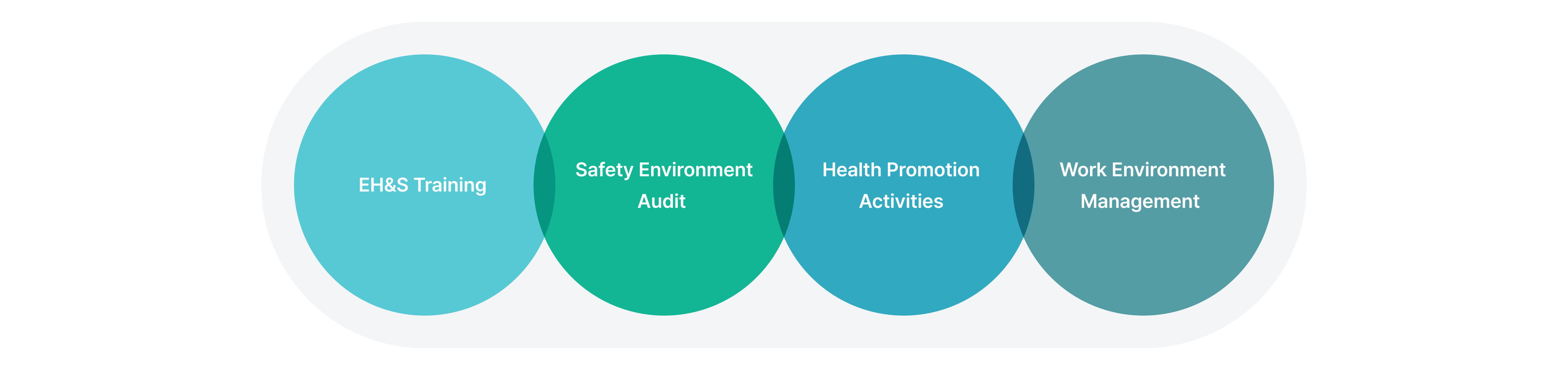 EH&S Training / Safety Environment Audit / Health Promotion Activities / Work Environment Management